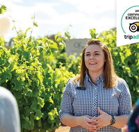 Swan Valley Wine Adventure - Half Day Premium Boutique Winery Tour - Sunshine Coast Tourism