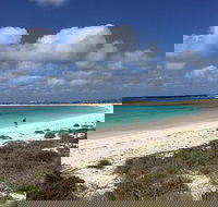 Abrolhos Island Half Day Fly and Flipper - Sunshine Coast Tourism