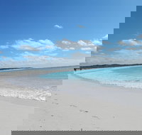 Shipwreck Special Nature Tour/Half Day Tour - Sunshine Coast Tourism