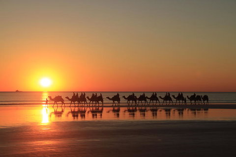 Broome City Sightseeing Tour With Optional Camel Ride - Holiday Sunshine Coast 2