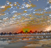 Broome City Sightseeing Tour with Optional Camel Ride - Sunshine Coast Tourism