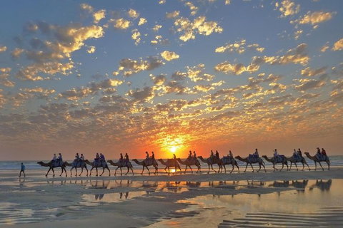 Broome City Sightseeing Tour With Optional Camel Ride - Holiday Sunshine Coast 0