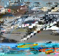 6-Metre Boat Renat Explore Exmouth's Ningaloo Reef - Sunshine Coast Tourism