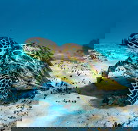 Turtle and Reef Adventure - Sunshine Coast Tourism