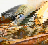 1.5-Hour Historical Pearl Luggers Tour in Broome - Sunshine Coast Tourism