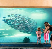 AQWA The Aquarium of Western Australia General Admission - Sunshine Coast Tourism
