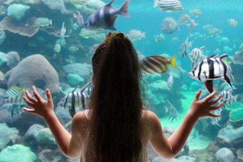 AQWA The Aquarium Of Western Australia: General Admission - Sunshine Coast Tourism 1