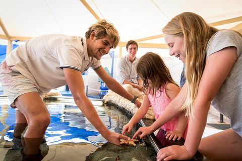 AQWA The Aquarium Of Western Australia: General Admission - Sunshine Coast Tourism 5
