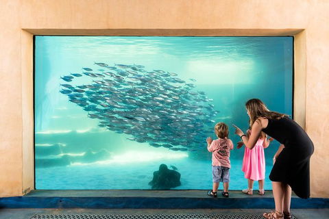 AQWA The Aquarium Of Western Australia: General Admission - Sunshine Coast Tourism 2
