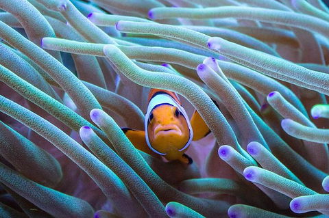 AQWA The Aquarium Of Western Australia: General Admission - Sunshine Coast Tourism 4