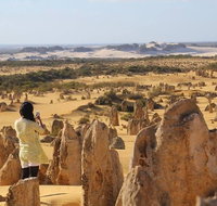 Full-Day Pinnacles Sandboarding and Yanchep National Park from Perth - Sunshine Coast Tourism