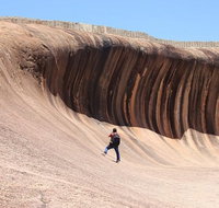 Wave Rock Half Day Air  Ground Tour - Sunshine Coast Tourism