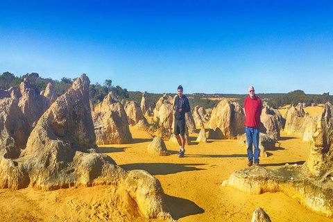 Pinnacles Day Trip Including Yanchep, Cave, Cervantes And Scarborough Beach - Holiday Sunshine Coast 1