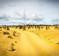 1 Day Pinnacles Wildlife  Sandboarding - Sunshine Coast Tourism