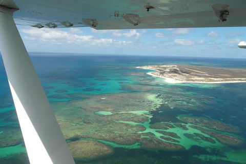 Abrolhos Flyover - Holiday Sunshine Coast 1