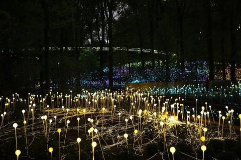 National Anzac Centre Field Of Light Panorama Pass - Holiday Sunshine Coast 0