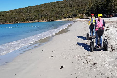 Albany Summit To Sea Adventure - Guided Segway Tour - Sunshine Coast Tourism 1
