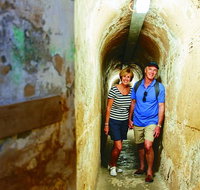 Rottnest Island Oliver Hill Train and Tunnel Day Trip from Perth - Sunshine Coast Tourism