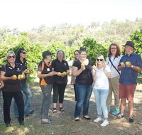 Chittering Valley Back To Nature Tour - Sunshine Coast Tourism