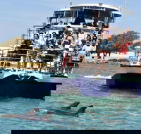 Mandurah Dolphin and Scenic Marine Cruise - Sunshine Coast Tourism