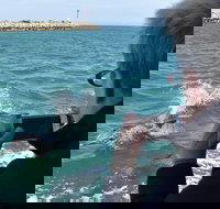 Mandurah Dolphin Island Adventure - Sunshine Coast Tourism