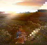 Leeuwin Estate Food and Wine Experience - Holiday Sunshine Coast