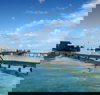 Full Day Guided Abrolhos Fly and Flipper Tour from Geraldton - Sunshine Coast Tourism