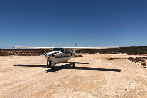 Kalbarri Gorges & West Coast - Ground & Air Tour - Holiday Sunshine Coast 6
