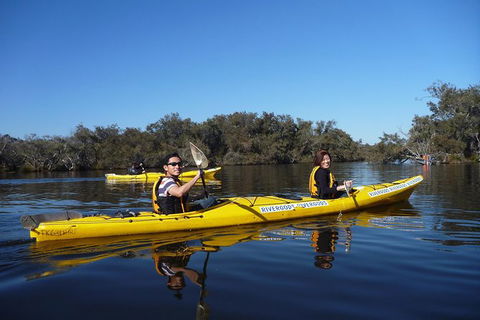 Kayak Tour On The Canning River - Holiday Sunshine Coast 0