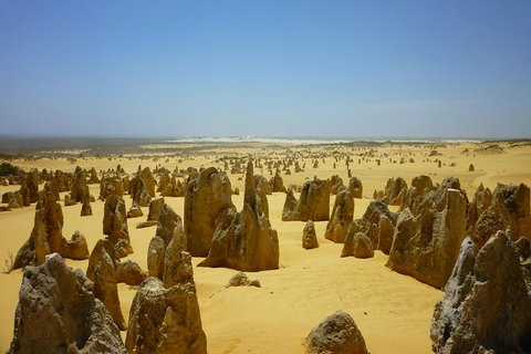 Pinnacles Desert Tour - Holiday Sunshine Coast 1