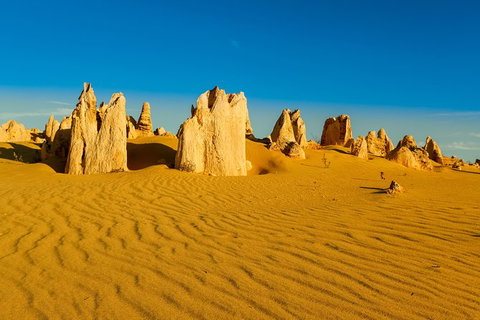 Pinnacles Desert Tour - Holiday Sunshine Coast 0