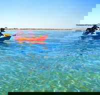 Turtle Tour - Ningaloo Reef Half Day Sea Kayak and Snorkel Tour - Sunshine Coast Tourism