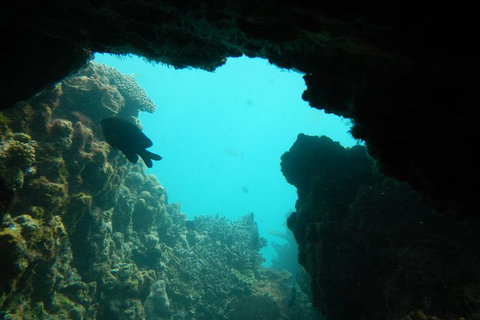 Half-Day Abrolhos Islands Shipwreck Air And Land Tour From Geraldton - Sunshine Coast Tourism 0