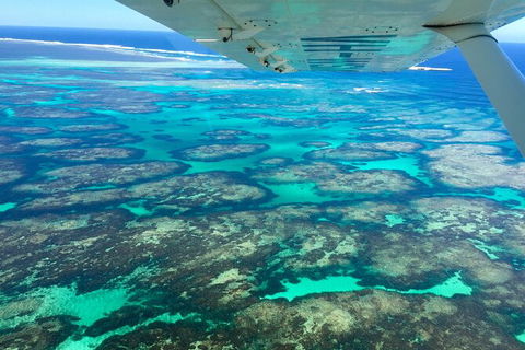 Kalbarri, Pink Lake And Abrolhos Islands Nature Tour - Holiday Sunshine Coast 5