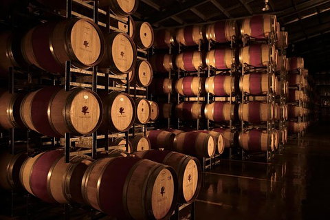 Vasse Felix Winery Tour And Tasting - Holiday Sunshine Coast 1