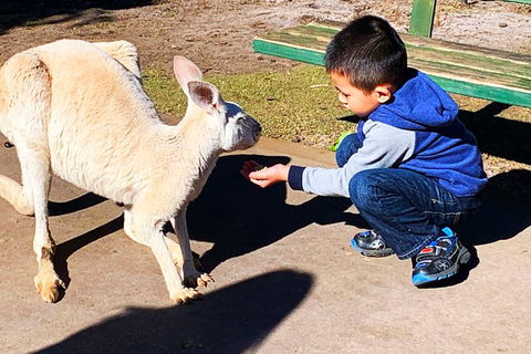 Perth Kids Explorer (Private) Day Tour - Sunshine Coast Tourism 8