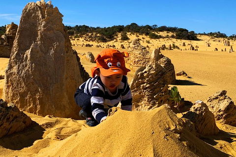 Perth Kids Explorer (Private) Day Tour - Sunshine Coast Tourism 3