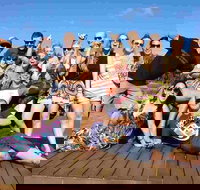 Margies Big Day Out Beer  Wine Tours - Holiday Sunshine Coast