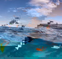 Exclusive Ningaloo Adventure Charter from Exmouth - Sunshine Coast Tourism