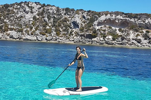 Rottnest Island Sailing Charter - Holiday Sunshine Coast 1