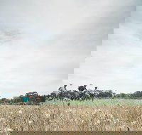 Electric Bike Winery and Brewery Tour - Holiday Sunshine Coast