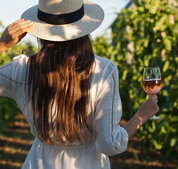 7 Hour Full Day Tour Morning Tea Chocolate Olives 3 Wineries  Lunch - Sunshine Coast Tourism