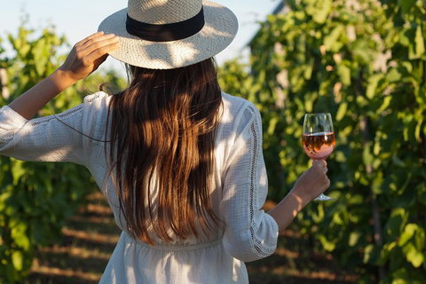 7 Hour Full Day Tour: Morning Tea, Chocolate, Olives, 3 Wineries & Lunch - Sunshine Coast Tourism 0