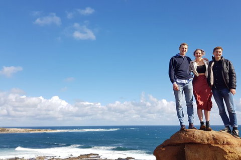 7 Hour Full Day Tour: Morning Tea, Chocolate, Olives, 3 Wineries & Lunch - Sunshine Coast Tourism 5