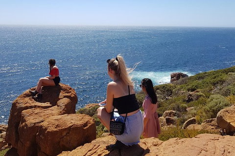 7 Hour Full Day Tour: Morning Tea, Chocolate, Olives, 3 Wineries & Lunch - Sunshine Coast Tourism 11