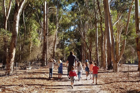 7 Hour Full Day Tour: Morning Tea, Chocolate, Olives, 3 Wineries & Lunch - Sunshine Coast Tourism 21