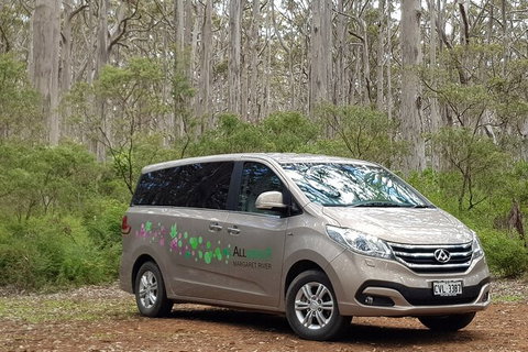 7 Hour Full Day Tour: Morning Tea, Chocolate, Olives, 3 Wineries & Lunch - Sunshine Coast Tourism 6