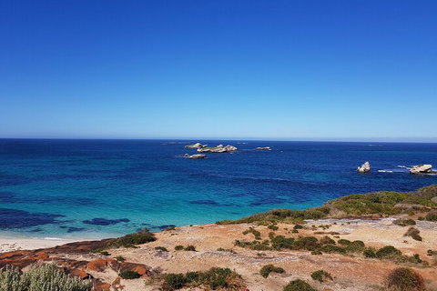 7 Hour Full Day Tour: Morning Tea, Chocolate, Olives, 3 Wineries & Lunch - Sunshine Coast Tourism 10