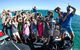 Humpback Whale Swim Ningaloo Reef - thumb 6