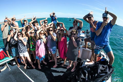 Humpback Whale Swim Ningaloo Reef - Sunshine Coast Tourism 6